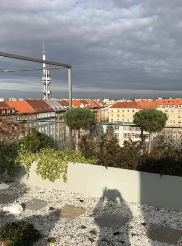 Blumentöpfe auf Luxus-Terrasse